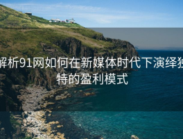 解析91网如何在新媒体时代下演绎独特的盈利模式