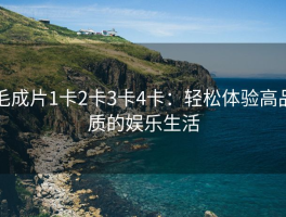 毛成片1卡2卡3卡4卡：轻松体验高品质的娱乐生活