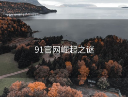 91官网崛起之谜