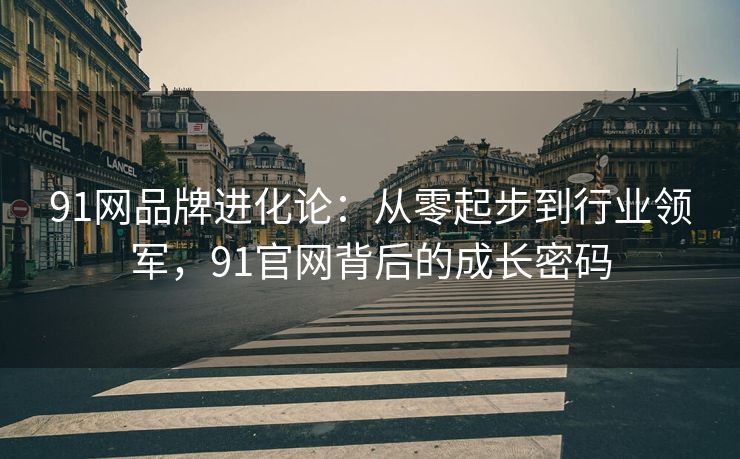 91网品牌进化论：从零起步到行业领军，91官网背后的成长密码