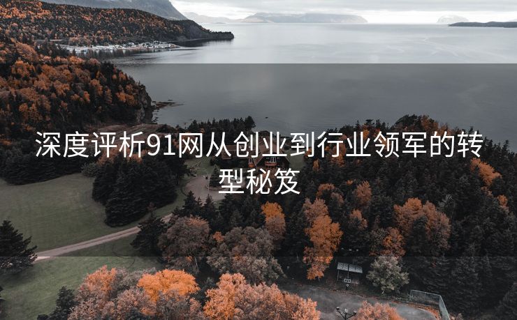 深度评析91网从创业到行业领军的转型秘笈