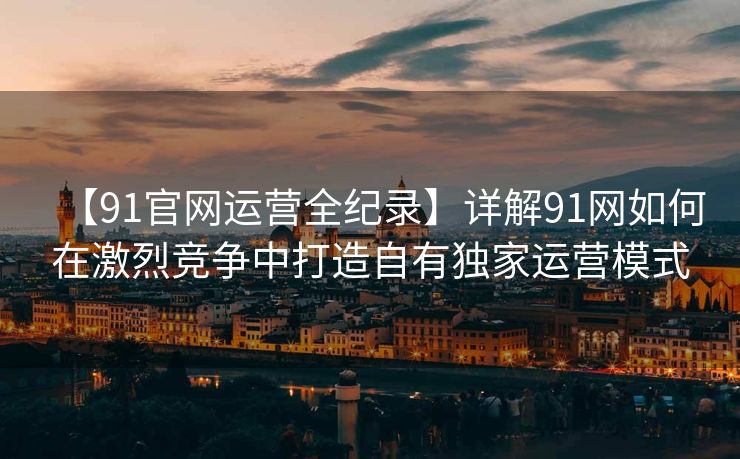【91官网运营全纪录】详解91网如何在激烈竞争中打造自有独家运营模式