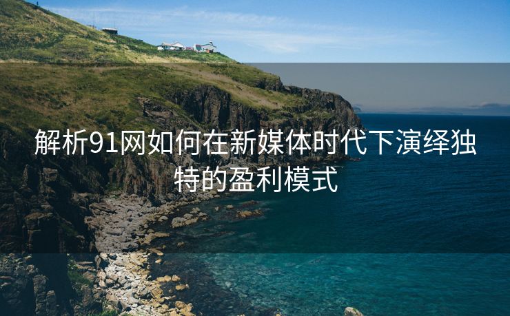 解析91网如何在新媒体时代下演绎独特的盈利模式