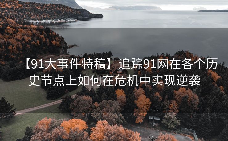 【91大事件特稿】追踪91网在各个历史节点上如何在危机中实现逆袭